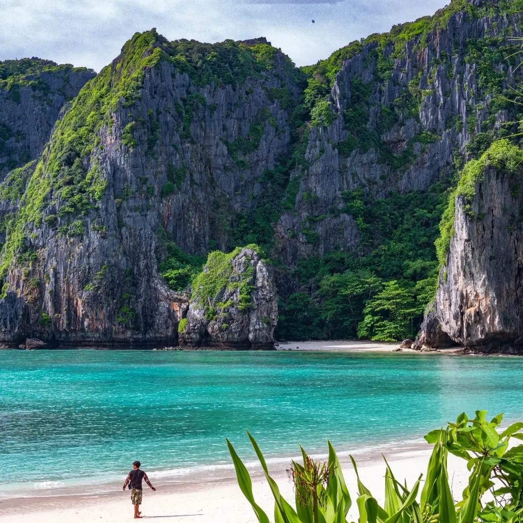 Half Day Phi Phi Lay Package WITH PHUKET TRANSFERS