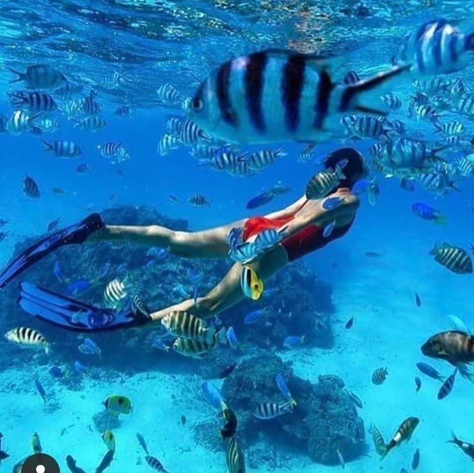 One Day Phi Phi Island Package WITH PHUKET TRANSFERS